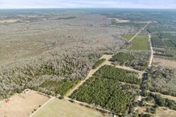 8035 Kingstree Hwy photo 4