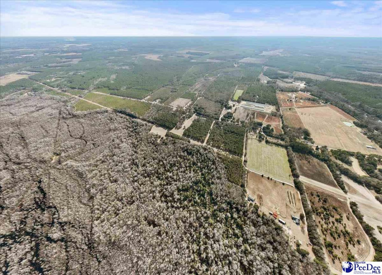 8035 Kingstree Hwy Photo 4