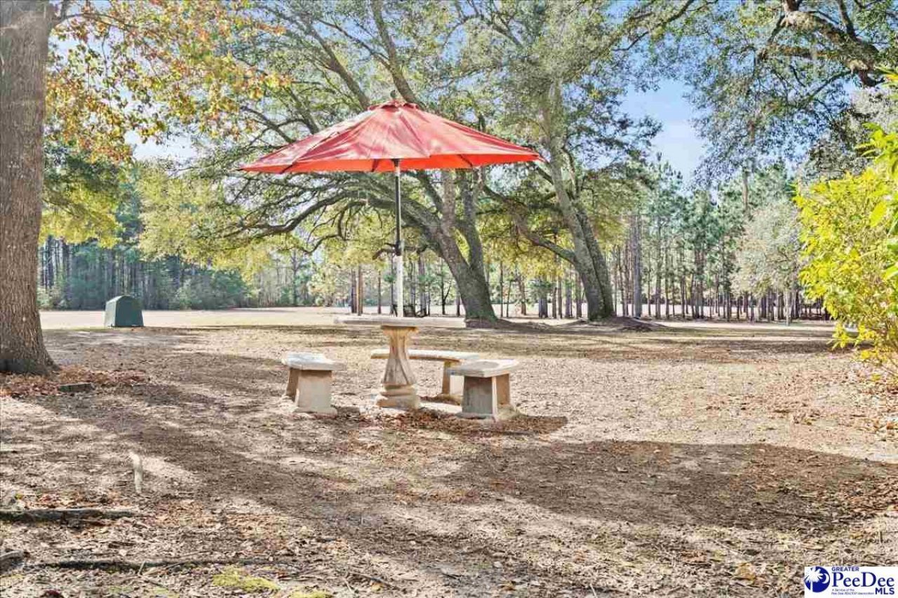 8035 Kingstree Hwy Photo 41