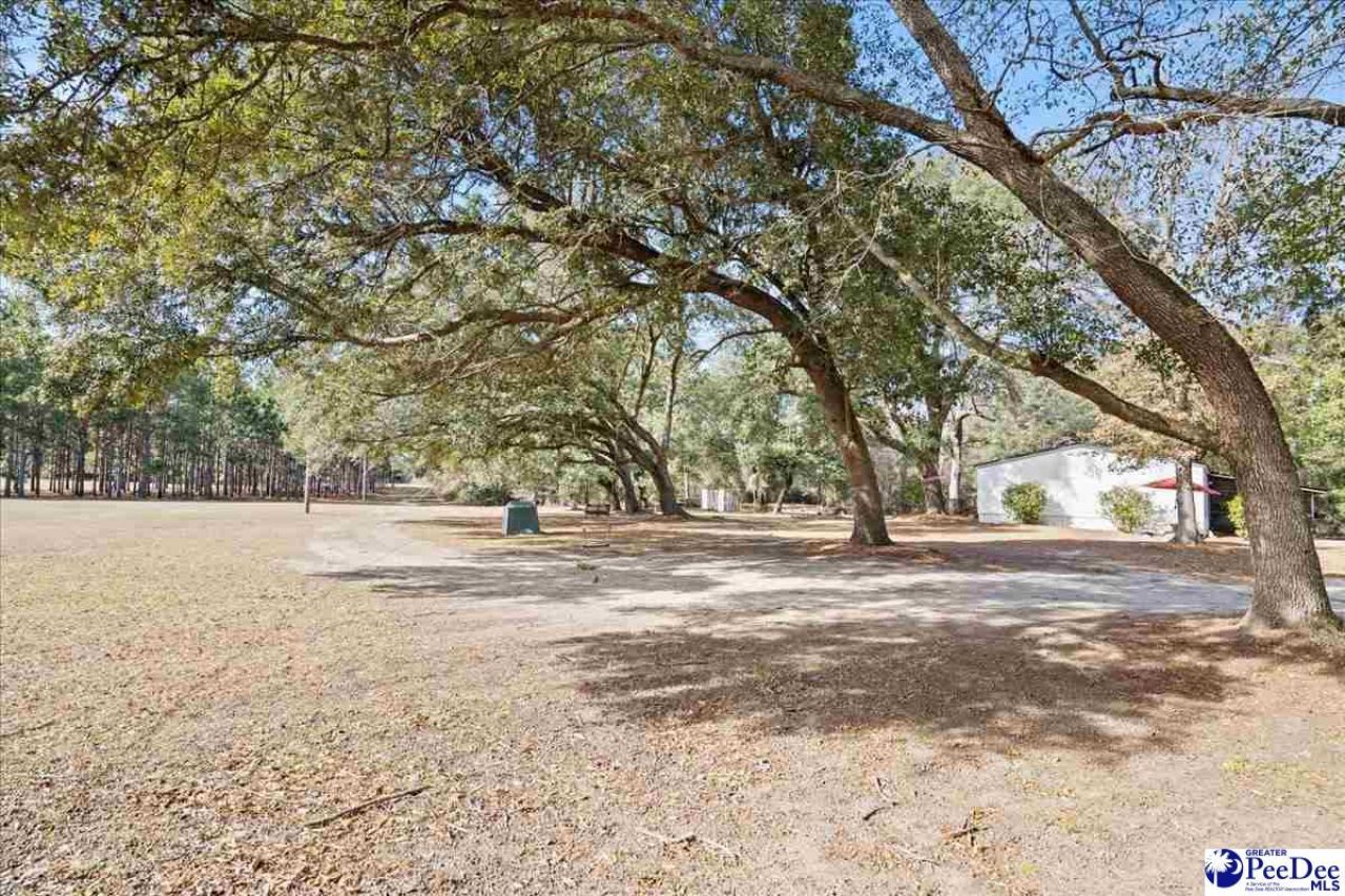 8035 Kingstree Hwy Photo 45