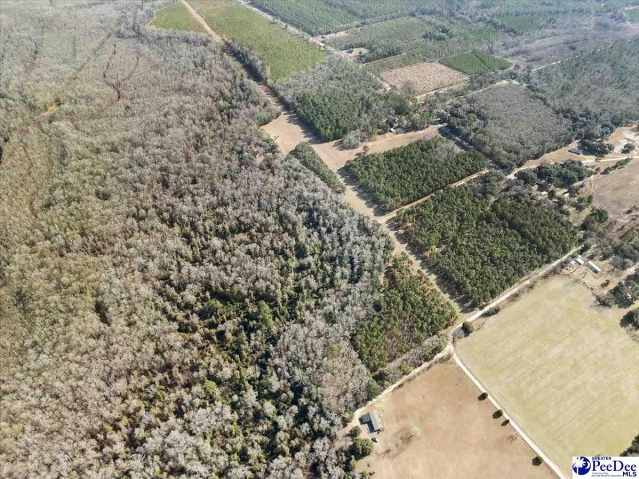 8035 Kingstree Hwy Photo 47