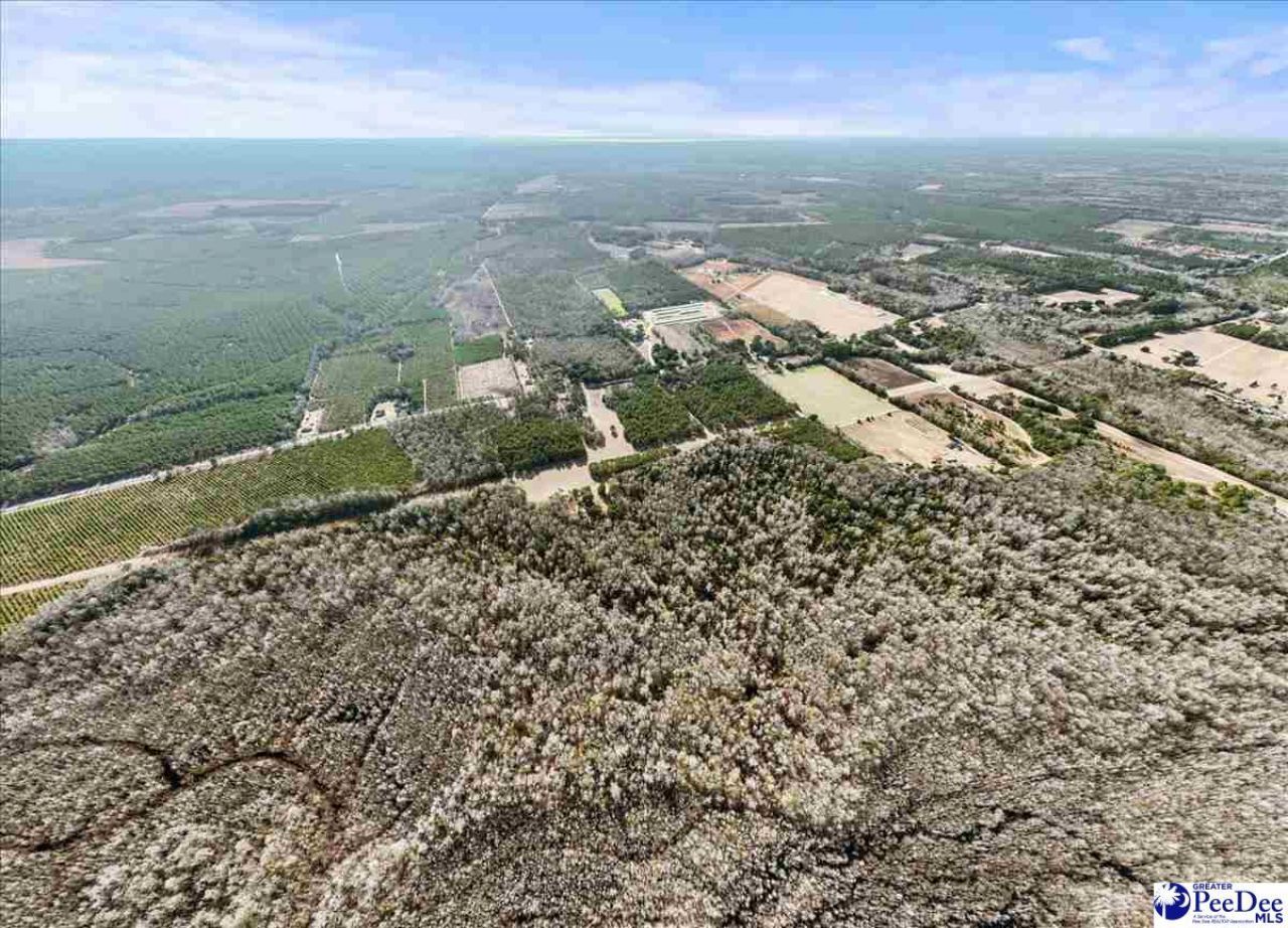 8035 Kingstree Hwy Photo 49