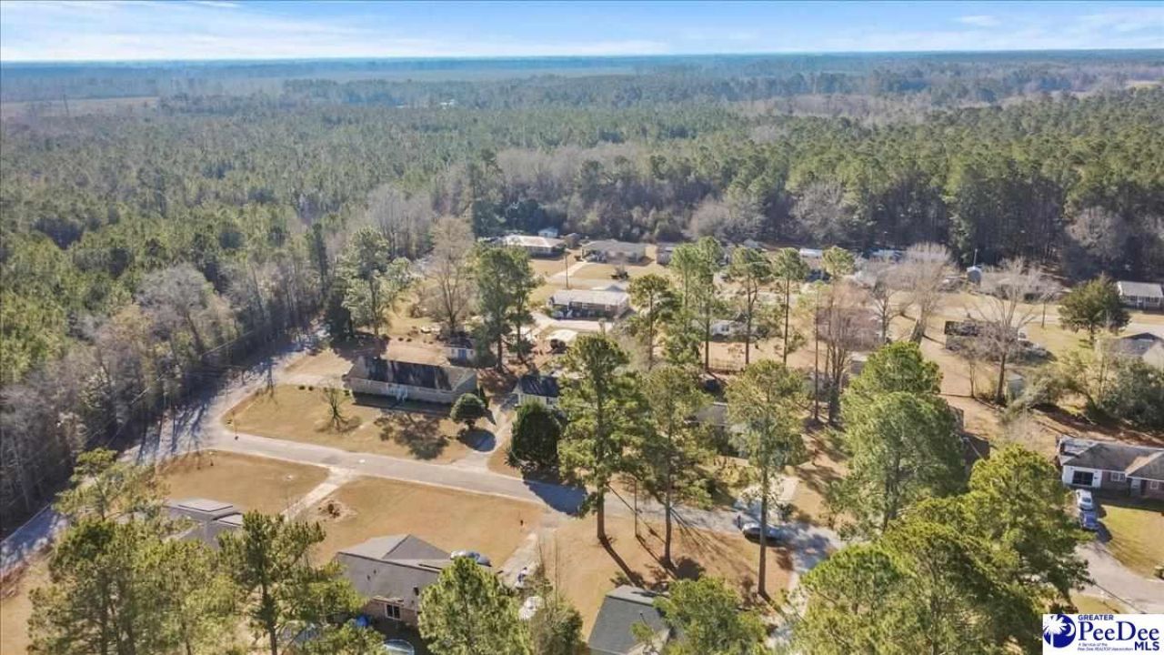 528 Azalea Drive Photo 38