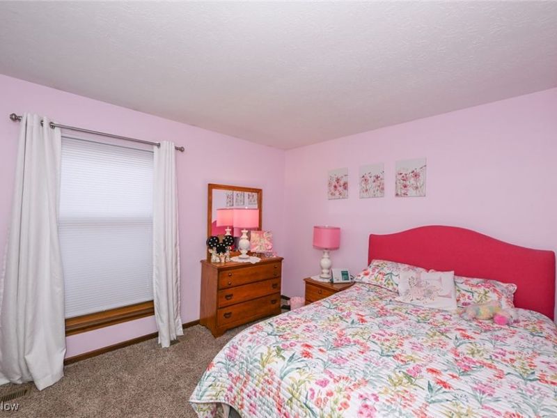 5520 River Styx Road, Medina, OH 44256 Photo 25