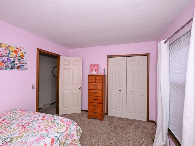 5520 River Styx Road, Medina, OH 44256 Photo 27