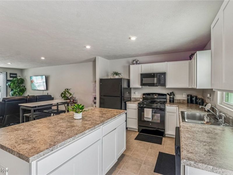 229 River Run Drive, Elyria, OH 44035 Photo 10