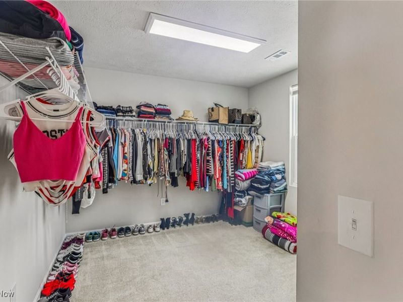 229 River Run Drive, Elyria, OH 44035 Photo 28