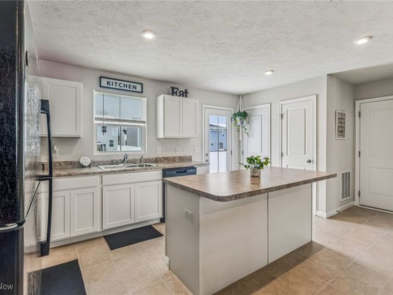 229 River Run Drive, Elyria, OH 44035 Photo 9