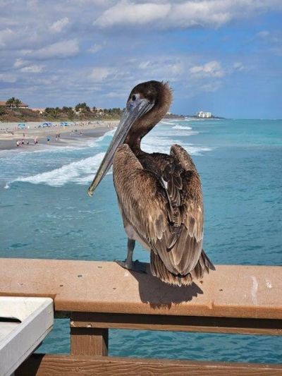 1206 Mainsail Circle, Jupiter, FL 33477 Photo