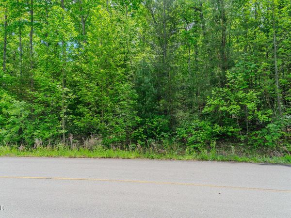 Lot 34W Long Rifle Road, Walland, TN 37886