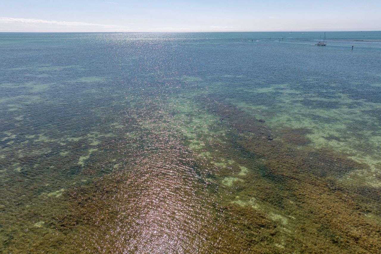 5960 Peninsular Avenue, Unit 105, Stock Island, FL 33040 Photo