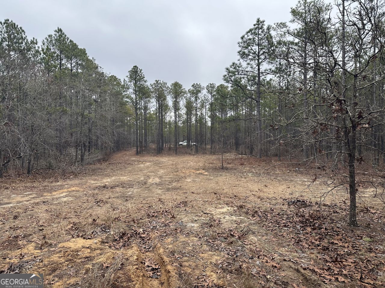 0 Hunter Drive, Mauk, GA 31058 Main Photo