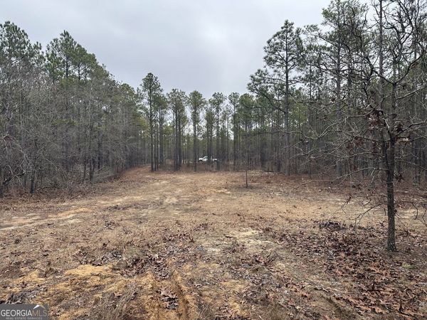 0 Hunter Drive, Mauk, GA 31058