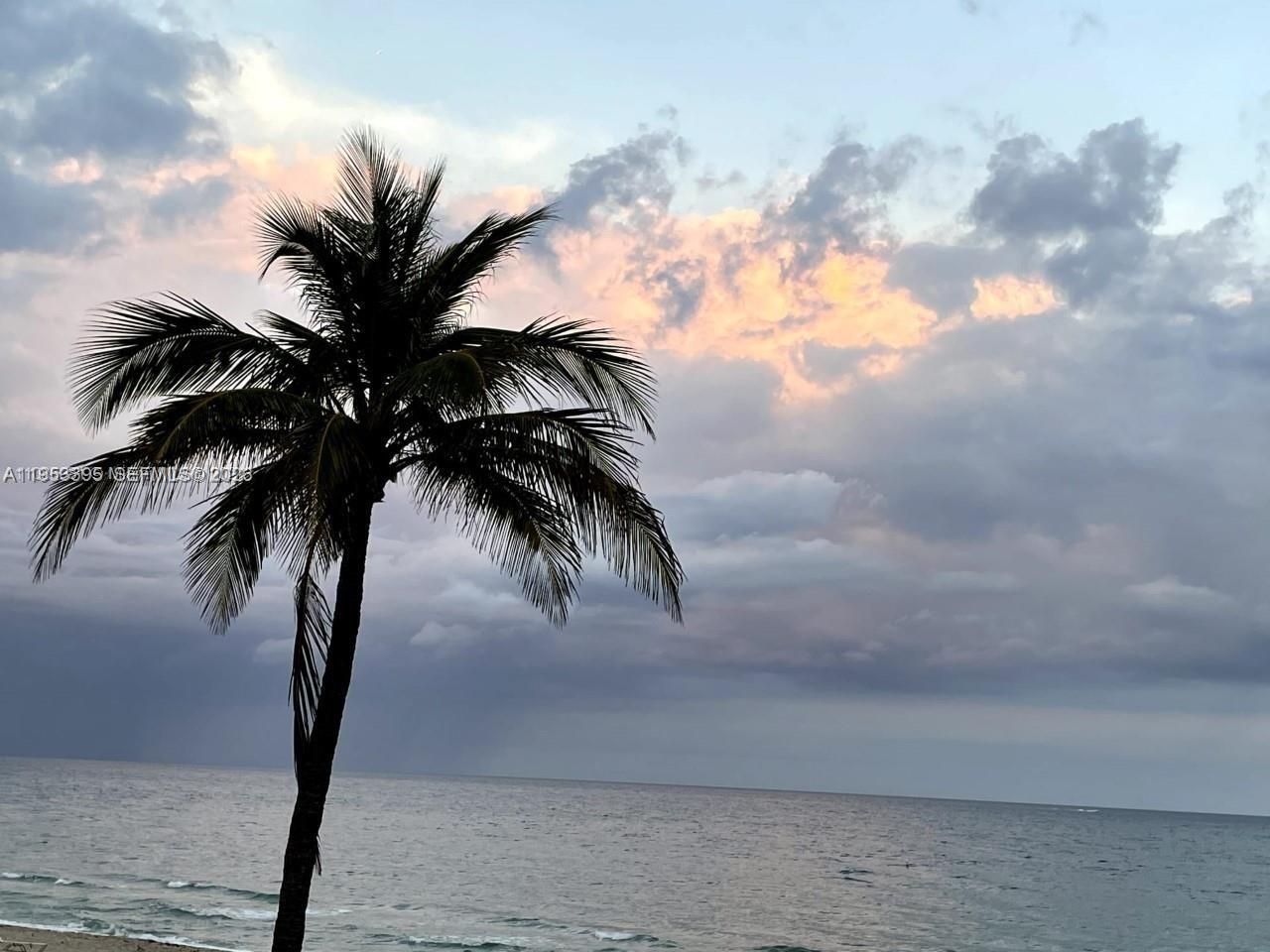 3850 Galt Ocean Dr , Unit 111, Fort Lauderdale, FL 33308 Photo