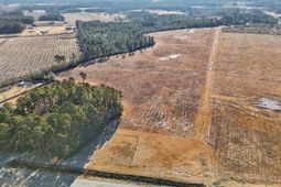 Tbd 87 Acres Airport Rd.  photo 4