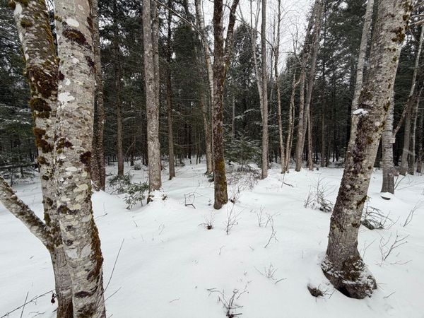 20 Compromise Drive, Lagrange, ME 04453