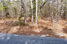 46 Timberline Drive  photo 4