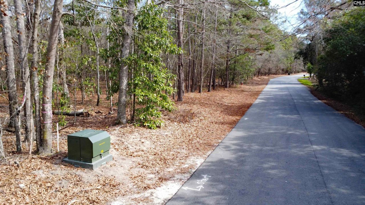 46 Timberline Drive  Photo 4