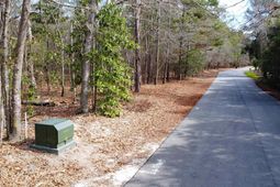 46 Timberline Drive  photo 4