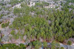 46 Timberline Drive  photo 4