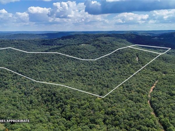 Madison 6085 Road, Elkins, AR 72727