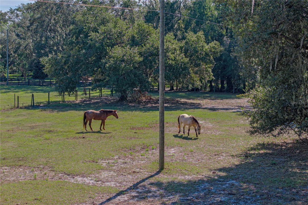 660 Old Bartow Lake Wales Road, Bartow, FL 33830 Photo