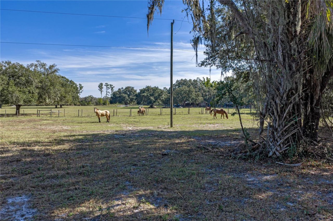 660 Old Bartow Lake Wales Road, Bartow, FL 33830 Photo