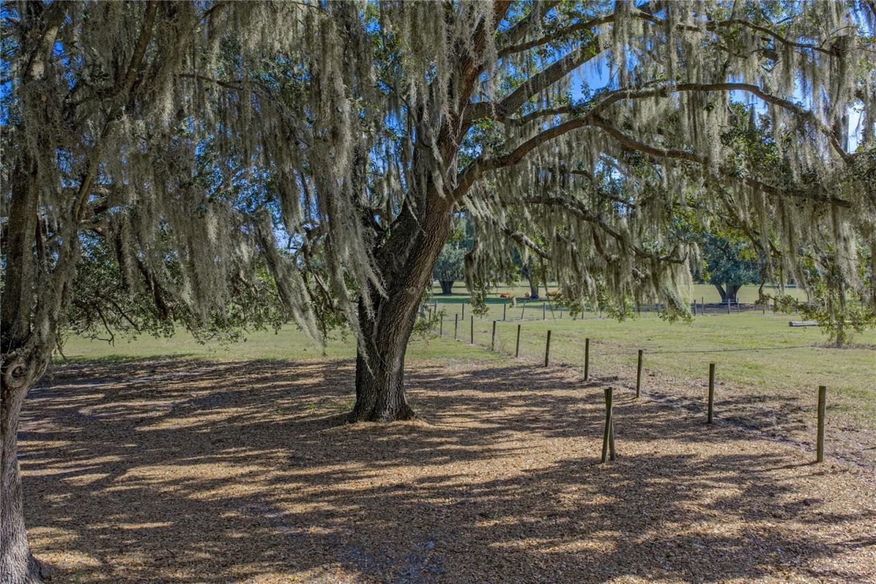 660 Old Bartow Lake Wales Road, Bartow, FL 33830 Photo