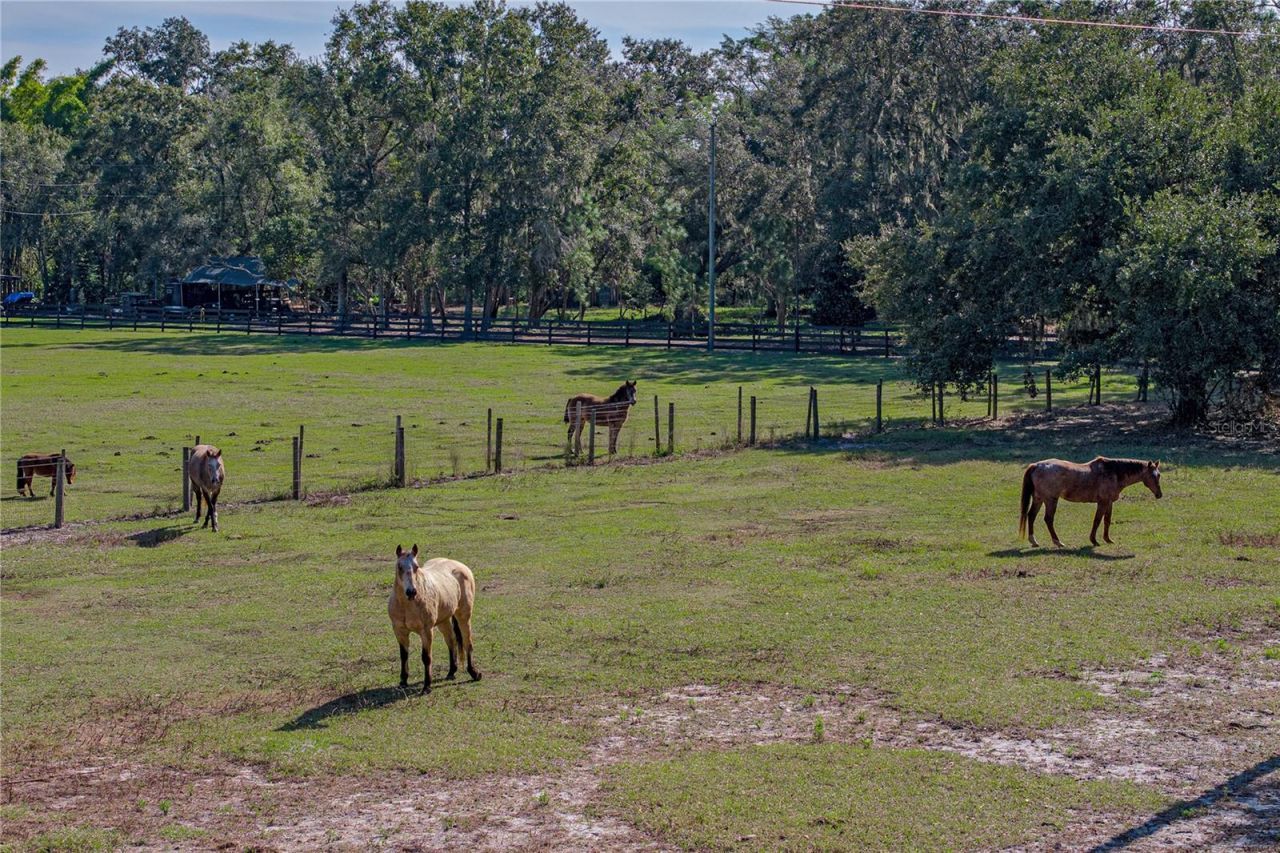 660 Old Bartow Lake Wales Road, Bartow, FL 33830 Photo