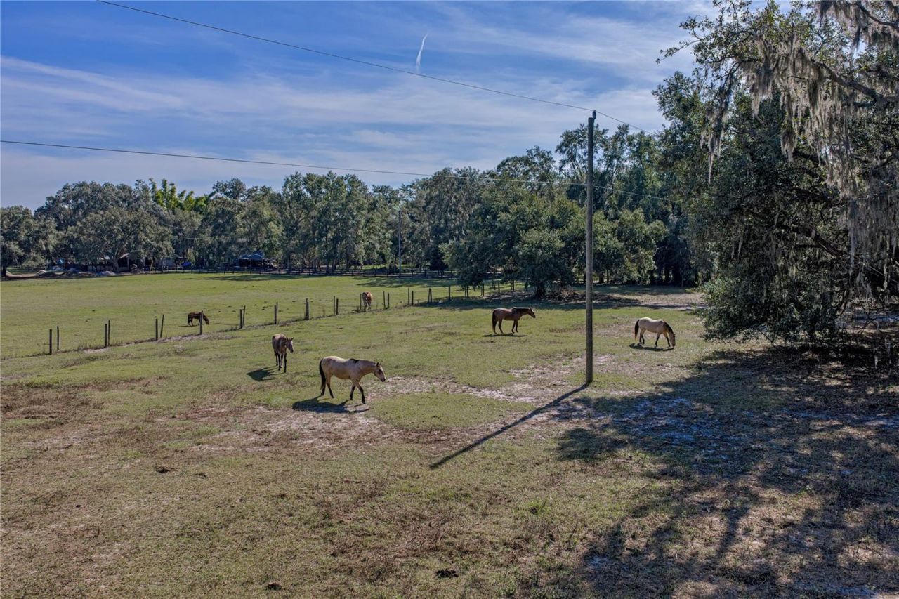 660 Old Bartow Lake Wales Road, Bartow, FL 33830 Photo