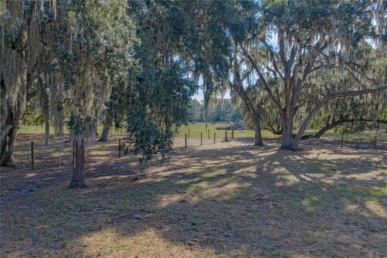 660 Old Bartow Lake Wales Road, Bartow, FL 33830 Photo