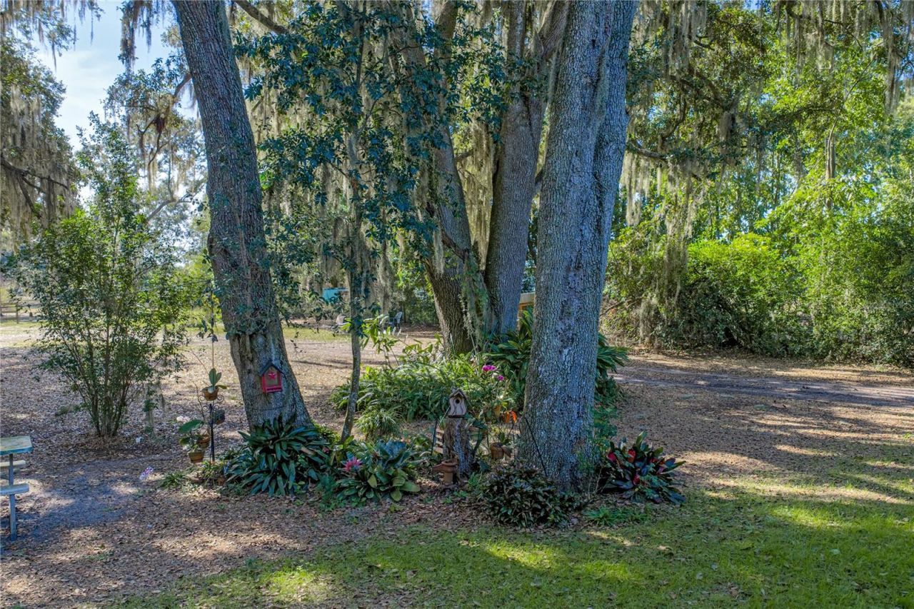 660 Old Bartow Lake Wales Road, Bartow, FL 33830 Photo