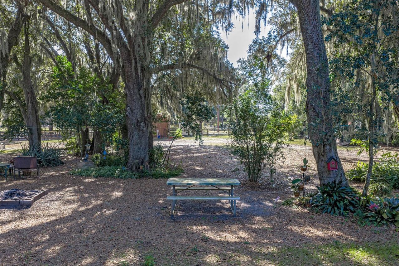 660 Old Bartow Lake Wales Road, Bartow, FL 33830 Photo
