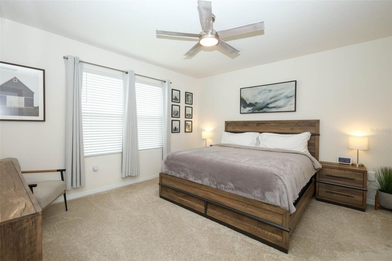 3519 Briarwood Grove Drive, Ocoee, FL 34761 Photo