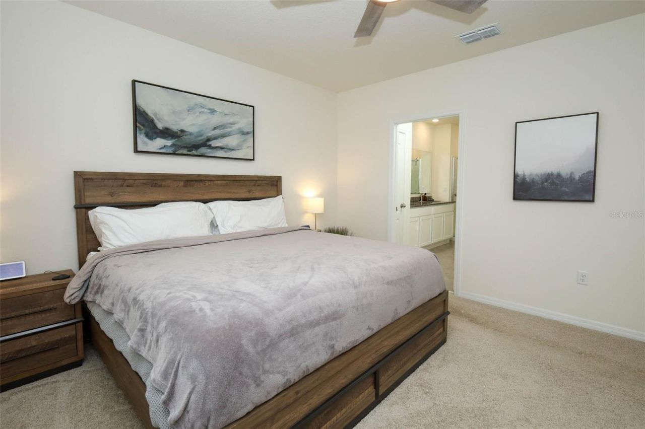 3519 Briarwood Grove Drive, Ocoee, FL 34761 Photo