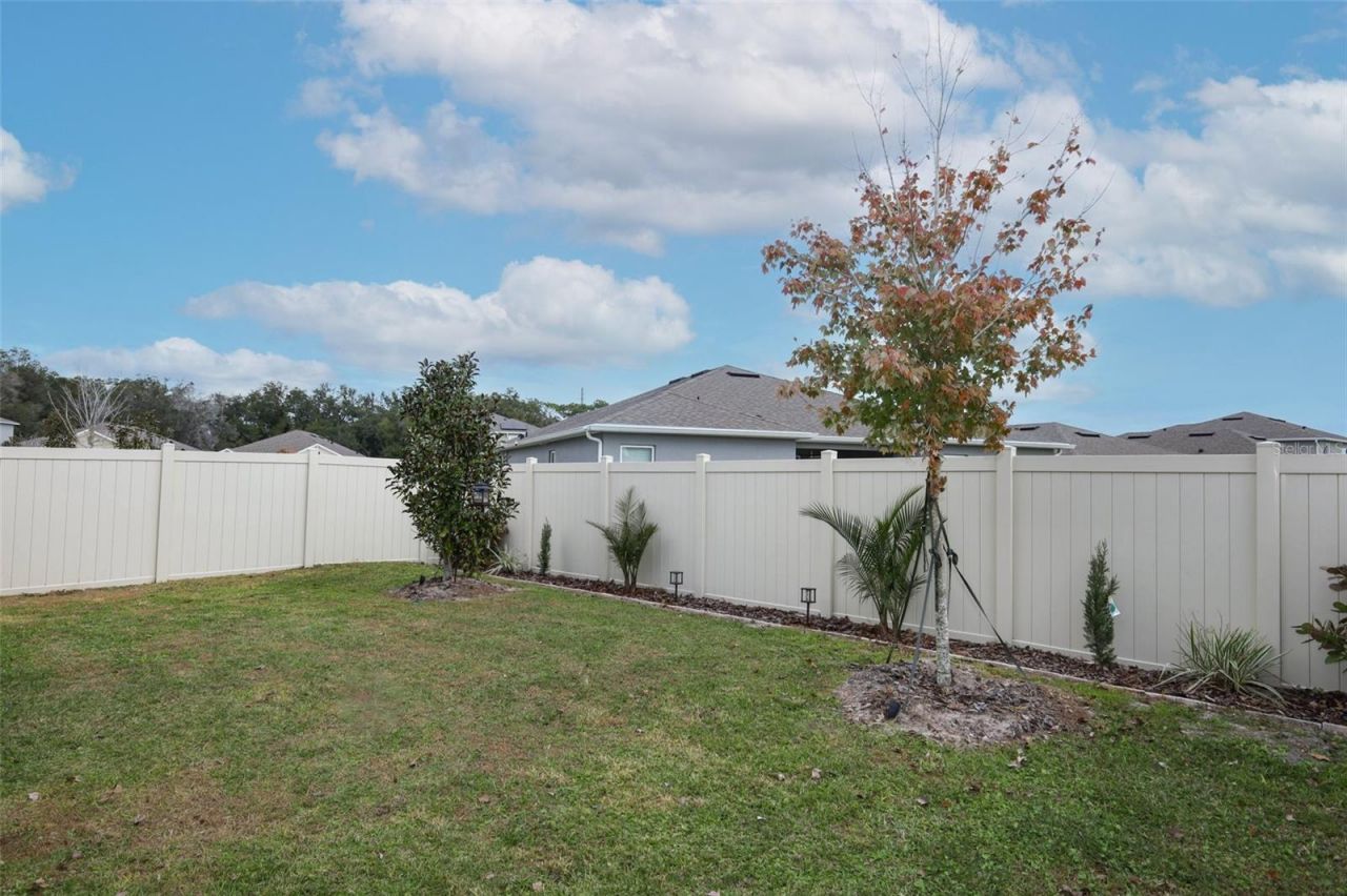 3519 Briarwood Grove Drive, Ocoee, FL 34761 Photo