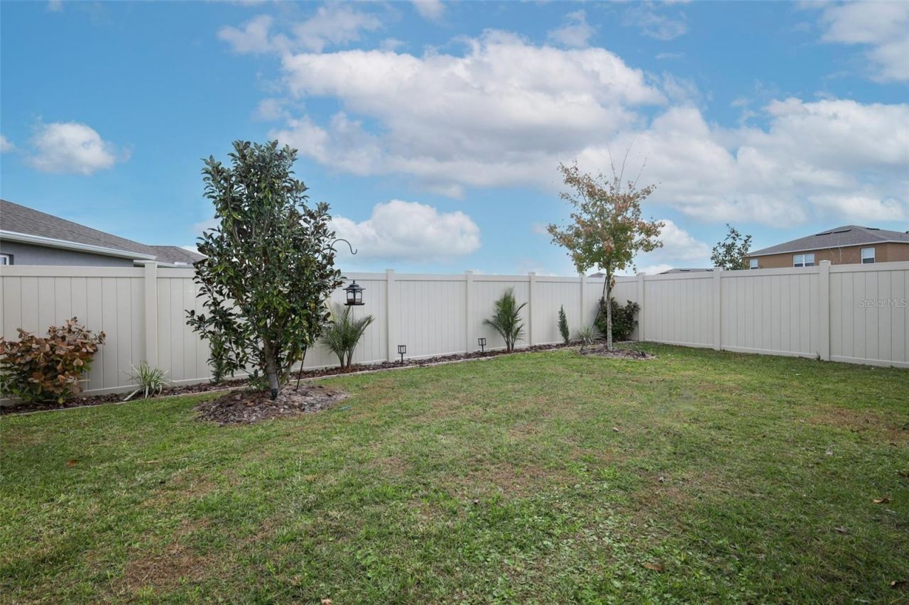 3519 Briarwood Grove Drive, Ocoee, FL 34761 Photo