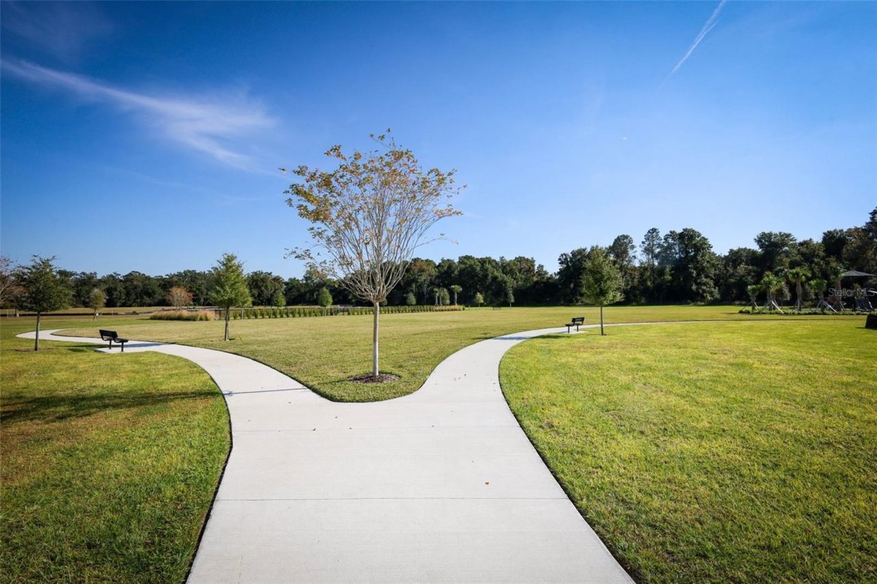 3519 Briarwood Grove Drive, Ocoee, FL 34761 Photo