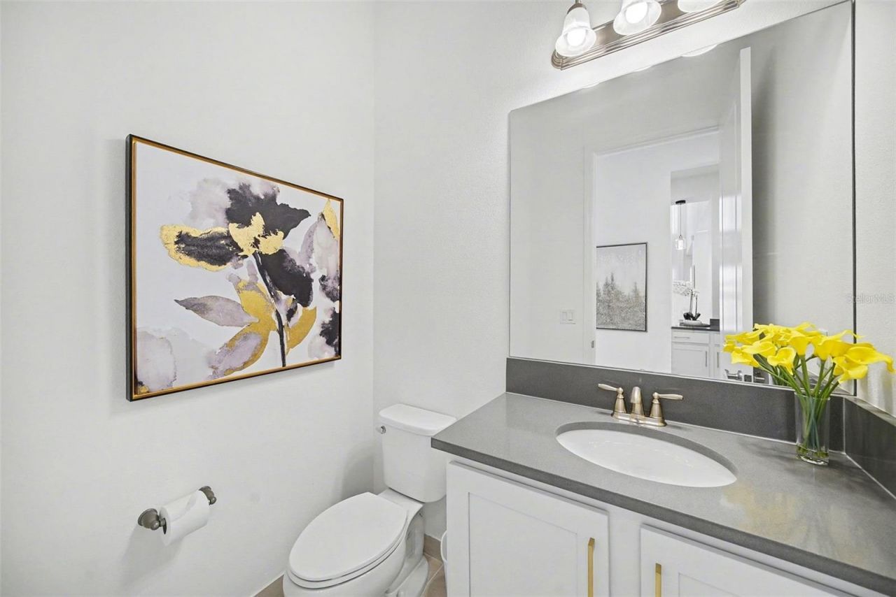 3263 Juniper Springs Street, Wesley Chapel, FL 33543 Photo