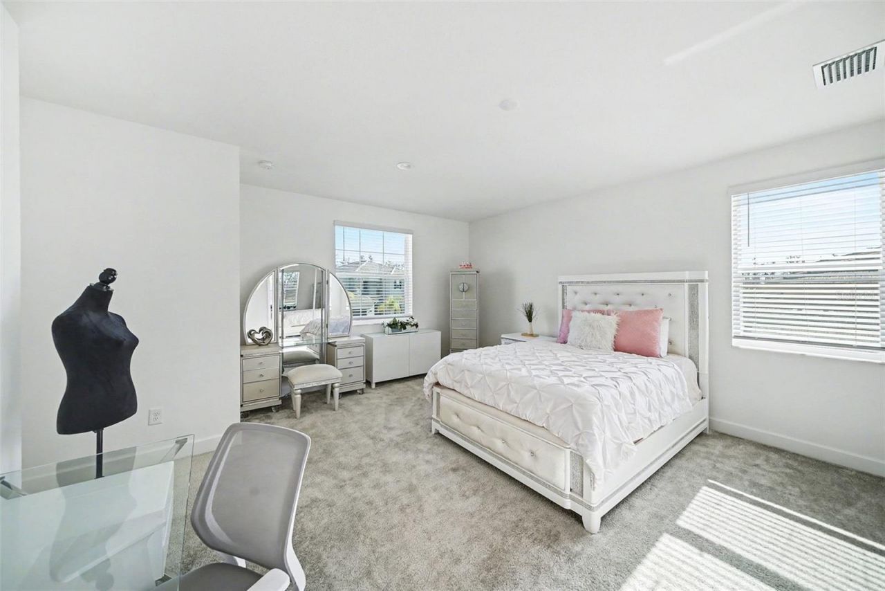 3263 Juniper Springs Street, Wesley Chapel, FL 33543 Photo