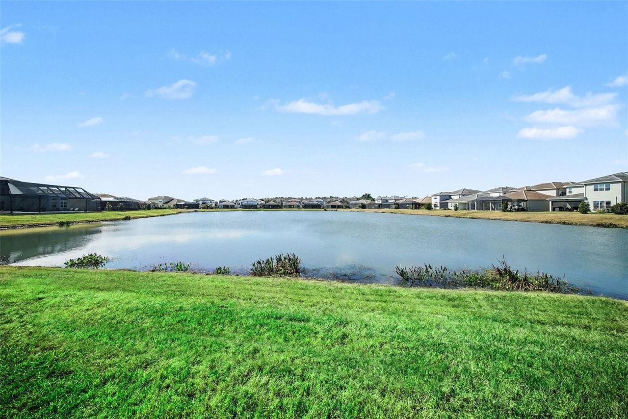 3263 Juniper Springs Street, Wesley Chapel, FL 33543 Photo