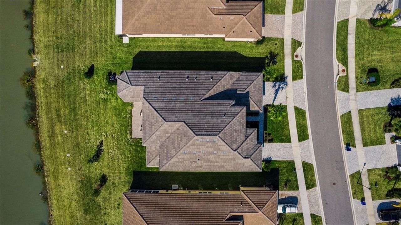 3263 Juniper Springs Street, Wesley Chapel, FL 33543 Photo