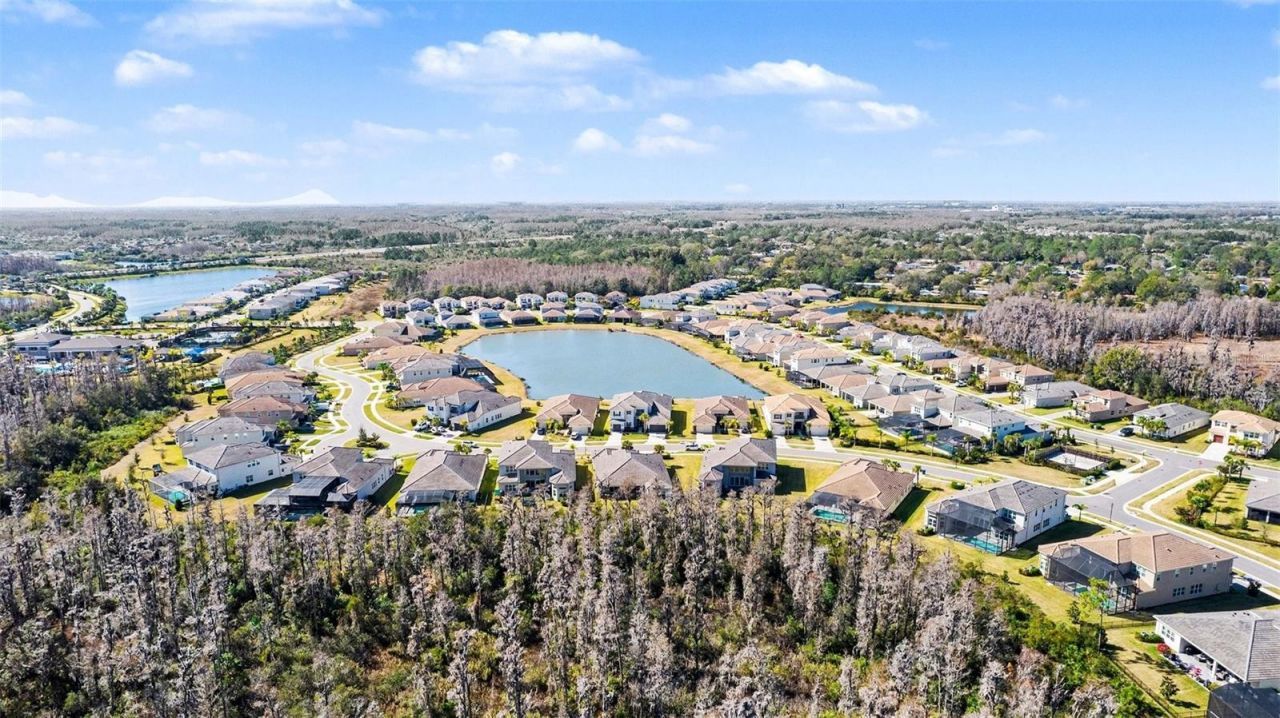 3263 Juniper Springs Street, Wesley Chapel, FL 33543 Photo