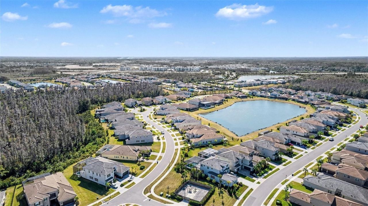 3263 Juniper Springs Street, Wesley Chapel, FL 33543 Photo