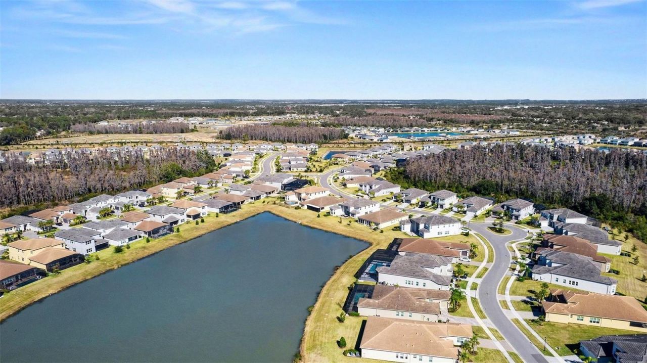 3263 Juniper Springs Street, Wesley Chapel, FL 33543 Photo