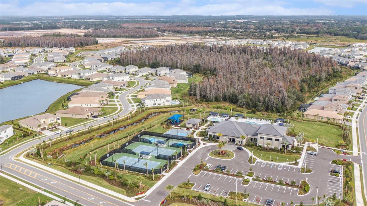 3263 Juniper Springs Street, Wesley Chapel, FL 33543 Photo