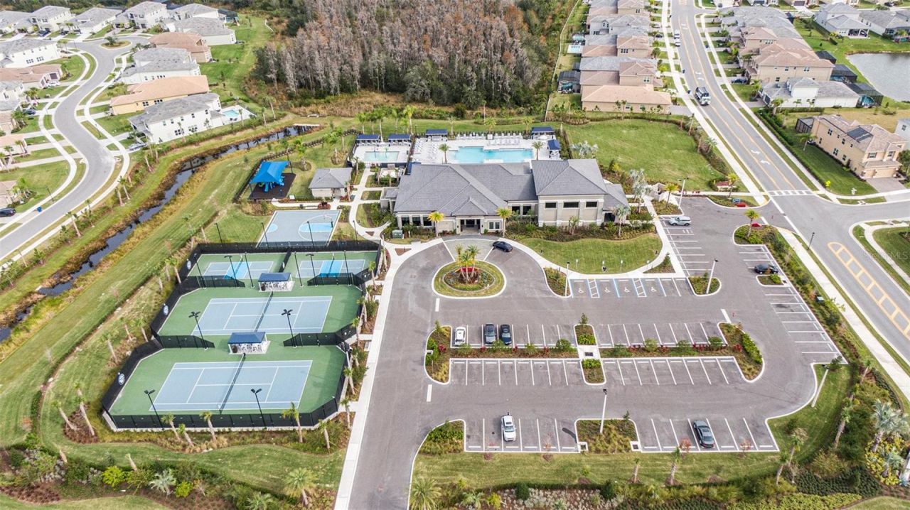 3263 Juniper Springs Street, Wesley Chapel, FL 33543 Photo