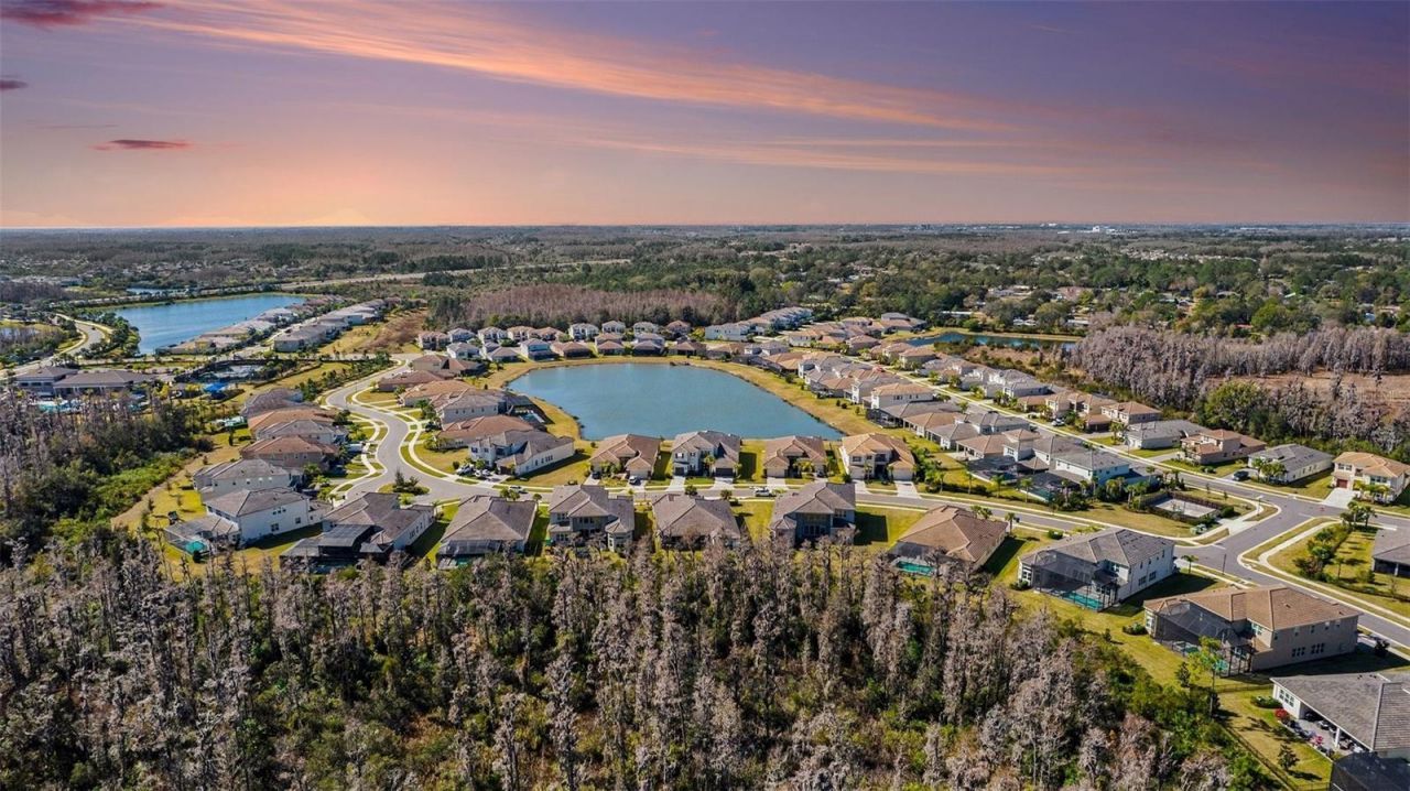 3263 Juniper Springs Street, Wesley Chapel, FL 33543 Photo