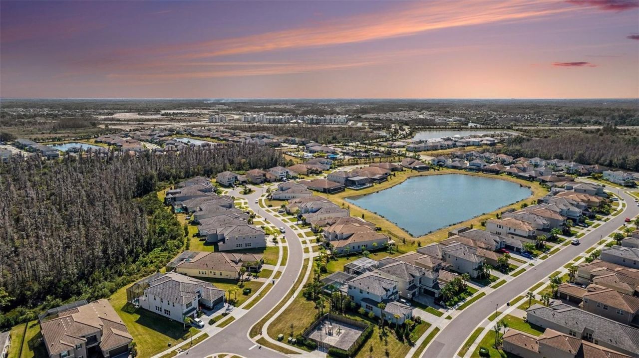 3263 Juniper Springs Street, Wesley Chapel, FL 33543 Photo