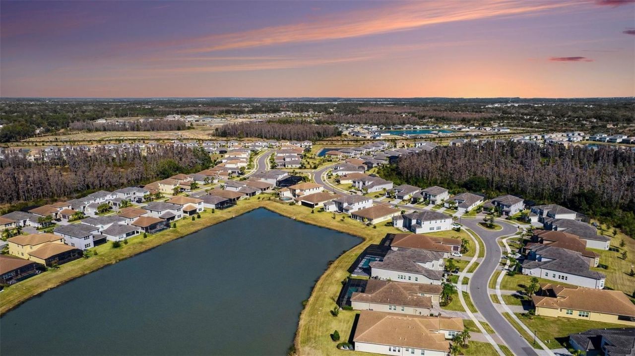 3263 Juniper Springs Street, Wesley Chapel, FL 33543 Photo